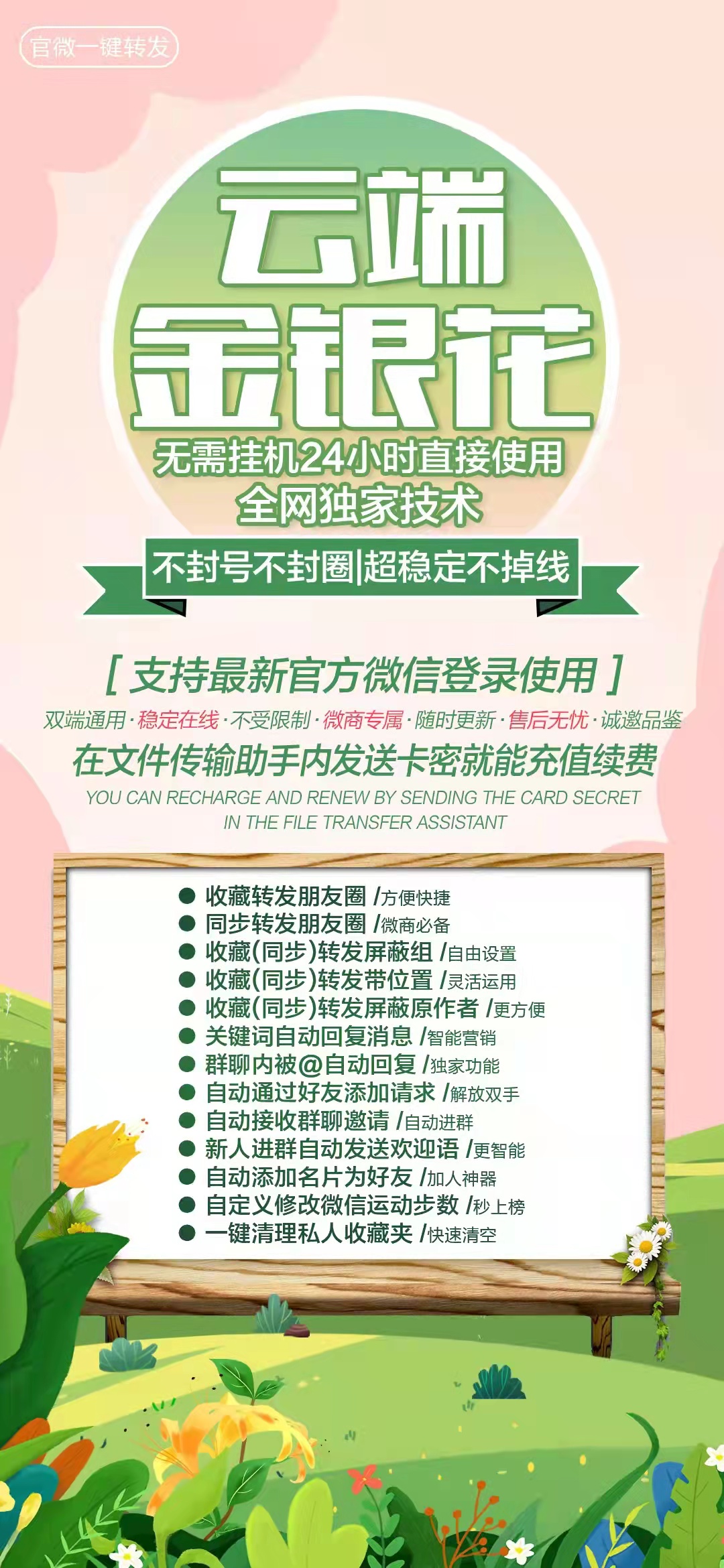 金银花